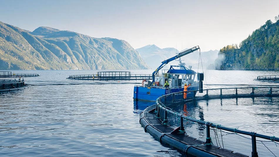 Norsk industri produkter